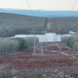 Meet your Posher, Nelson